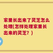 家里长出来了灵芝怎么处理(怎样处理家里长出来的灵芝？)