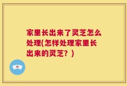 家里长出来了灵芝怎么处理(怎样处理家里长出来的灵芝？)