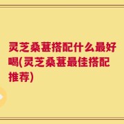 灵芝桑葚搭配什么最好喝(灵芝桑葚最佳搭配推荐)