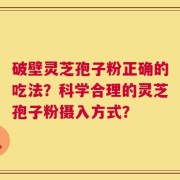 破壁灵芝孢子粉正确的吃法？科学合理的灵芝孢子粉摄入方式？