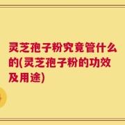 灵芝孢子粉究竟管什么的(灵芝孢子粉的功效及用途)