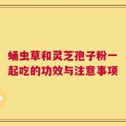 蛹虫草和灵芝孢子粉一起吃的功效与注意事项