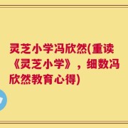 灵芝小学冯欣然(重读《灵芝小学》，细数冯欣然教育心得)