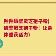 种种破壁灵芝孢子粉(破壁灵芝孢子粉：让身体重获活力)