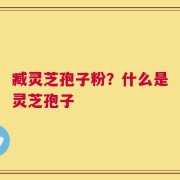 臧灵芝孢子粉？什么是灵芝孢子