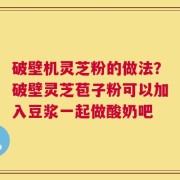 破壁机灵芝粉的做法？破壁灵芝苞子粉可以加入豆浆一起做酸奶吧