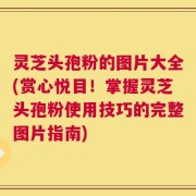 灵芝头孢粉的图片大全(赏心悦目！掌握灵芝头孢粉使用技巧的完整图片指南)