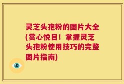 灵芝头孢粉的图片大全(赏心悦目！掌握灵芝头孢粉使用技巧的完整图片指南)
