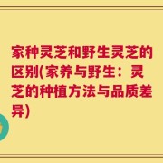 家种灵芝和野生灵芝的区别(家养与野生：灵芝的种植方法与品质差异)