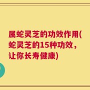 属蛇灵芝的功效作用(蛇灵芝的15种功效，让你长寿健康)