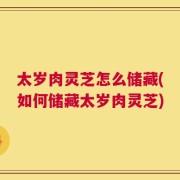 太岁肉灵芝怎么储藏(如何储藏太岁肉灵芝)