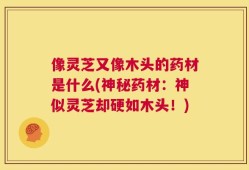 像灵芝又像木头的药材是什么(神秘药材：神似灵芝却硬如木头！)