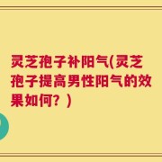 灵芝孢子补阳气(灵芝孢子提高男性阳气的效果如何？)