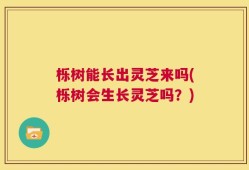 栎树能长出灵芝来吗(栎树会生长灵芝吗？)