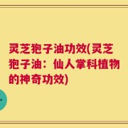 灵芝狍子油功效(灵芝狍子油：仙人掌科植物的神奇功效)