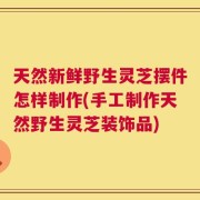 天然新鲜野生灵芝摆件怎样制作(手工制作天然野生灵芝装饰品)