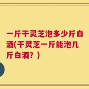 一斤干灵芝泡多少斤白酒(干灵芝一斤能泡几斤白酒？)