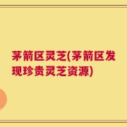 茅箭区灵芝(茅箭区发现珍贵灵芝资源)