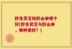 野生灵芝和野山参哪个好(野生灵芝与野山参，哪种更好？)