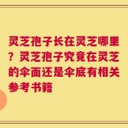 灵芝孢子长在灵芝哪里？灵芝孢子究竟在灵芝的伞面还是伞底有相关参考书籍