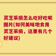 灵芝采摘怎么吃好吃呢图片(如何美味地食用灵芝采摘，这里有几个好建议)
