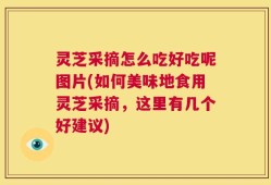 灵芝采摘怎么吃好吃呢图片(如何美味地食用灵芝采摘，这里有几个好建议)
