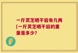 一斤灵芝晒干后有几两(一斤灵芝晒干后的重量是多少？