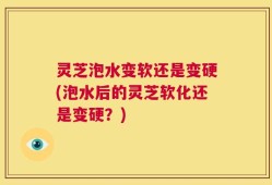灵芝泡水变软还是变硬(泡水后的灵芝软化还是变硬？)