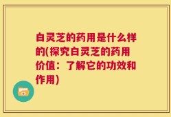 白灵芝的药用是什么样的(探究白灵芝的药用价值：了解它的功效和作用)