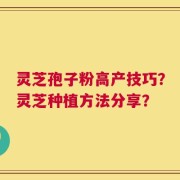 灵芝孢子粉高产技巧？灵芝种植方法分享？