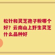 松针和灵芝孢子粉哪个好？云南山上野生灵芝什么品种好