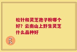 松针和灵芝孢子粉哪个好？云南山上野生灵芝什么品种好