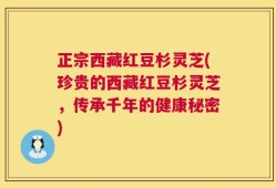 正宗西藏红豆杉灵芝(珍贵的西藏红豆杉灵芝，传承千年的健康秘密)