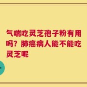 气喘吃灵芝孢子粉有用吗？肺癌病人能不能吃灵芝呢