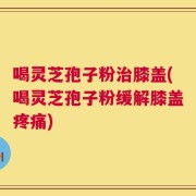 喝灵芝孢子粉治膝盖(喝灵芝孢子粉缓解膝盖疼痛)