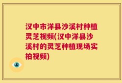 汉中市洋县沙溪村种植灵芝视频(汉中洋县沙溪村的灵芝种植现场实拍视频)