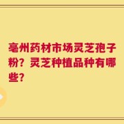 亳州药材市场灵芝孢子粉？灵芝种植品种有哪些？