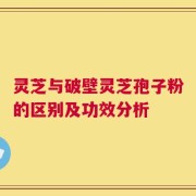 灵芝与破壁灵芝孢子粉的区别及功效分析