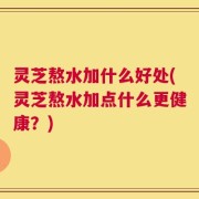 灵芝熬水加什么好处(灵芝熬水加点什么更健康？)