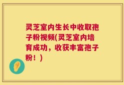 灵芝室内生长中收取孢子粉视频(灵芝室内培育成功，收获丰富孢子粉！)