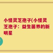 小怪灵芝孢子(小怪灵芝孢子：益生菌界的新明星