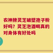 农神牌灵芝破壁孢子粉好吗？灵芝泡酒喝真的对身体有好处吗