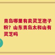 青岛哪里有卖灵芝孢子粉？山东青岛太和山有灵芝吗