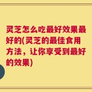 灵芝怎么吃最好效果最好的(灵芝的最佳食用方法，让你享受到最好的效果)