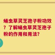 蛹虫草灵芝孢子粉功效？了解蛹虫草灵芝孢子粉的作用和用法？