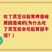 吃了灵芝以后胃疼是啥原因造成的(为什么吃了灵芝后会引起胃部不适？)