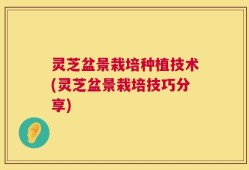 灵芝盆景栽培种植技术(灵芝盆景栽培技巧分享)