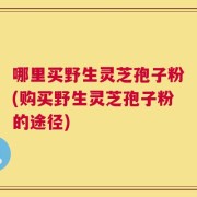 哪里买野生灵芝孢子粉(购买野生灵芝孢子粉的途径)
