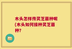 木头怎样传灵芝菌种呢(木头如何接种灵芝菌种？