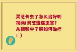 灵芝长虫了怎么治好呢视频(灵芝遭遇虫害？从视频中了解如何治疗！)